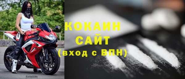 шишки Балахна
