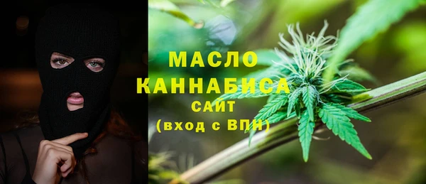 индика Беломорск