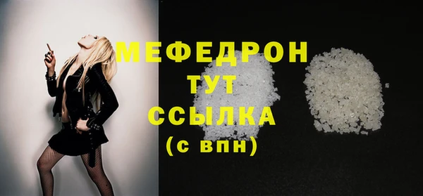 индика Беломорск