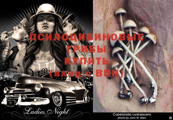 шишки Балахна