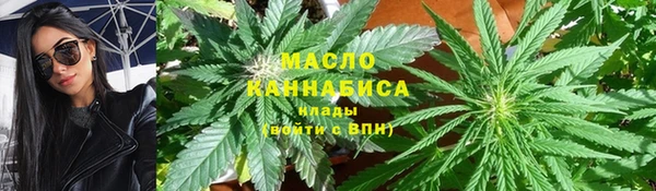 индика Беломорск
