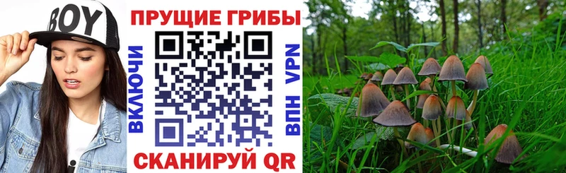 Галлюциногенные грибы GOLDEN TEACHER  хочу   Кувандык 